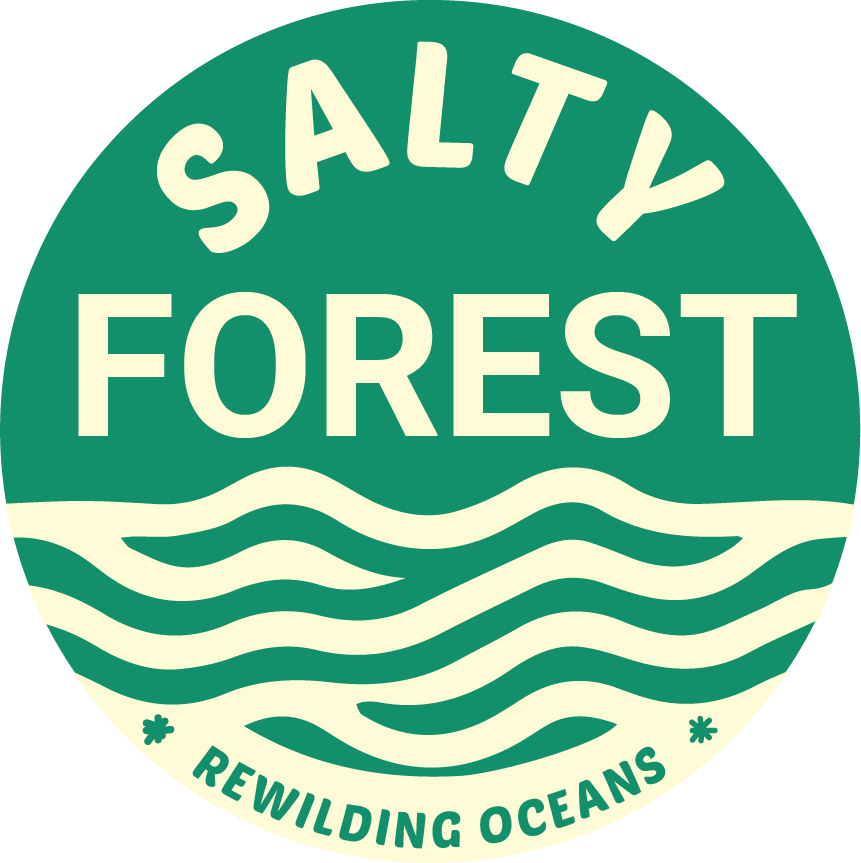 Salty Forest